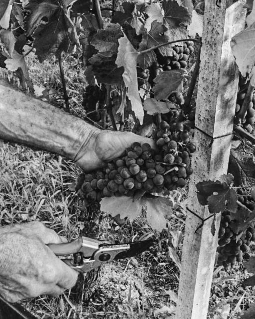 e158d712cbd8f757be3a3daa1e974112