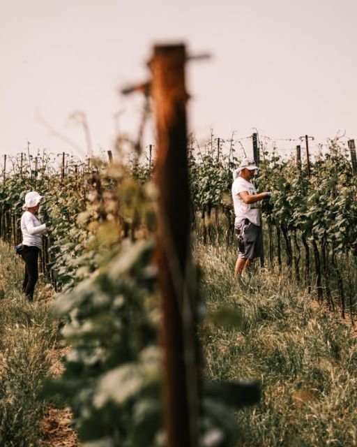 50bf41598d9224453e70cf963d64e827